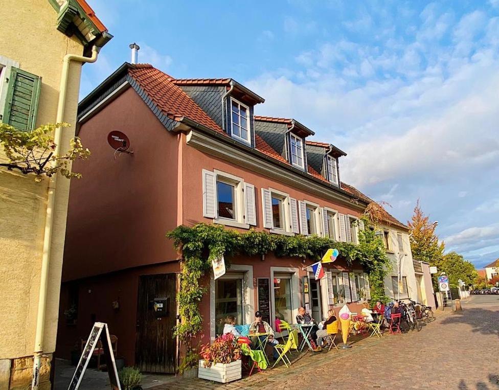 Gruene Pause Appartement Freinsheim Buitenkant foto